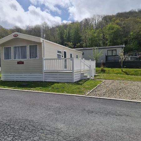 The Tiddler - Plot 101, Woodlands Lodge Retreat, New Quay, West Wales Llanina Kültér fotó